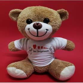 Resim Seni Seviyorum Temalı Peluş Ayıcık Tdrtr Çok Renkli 