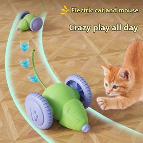Resim Etkileşimli Elektrikli Kedi ve Fare Oyuncak - Sevimli Yeşil Fare Tasarımı, Şarj Edilebilir Lityum Pil, USB Şarj, İç Mekan Oyunları İçin İdeal, Kedi Oyun Saati | Oyun Sever Kedi Oyuncak | Dayanıklı Kedi Oyuncak 