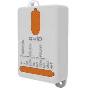 Resim Qulp Serisi 12/24 Volt Kuru Kontak Alıcı Kart - 2 Kanal (868 Mhz) 