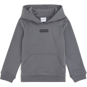 Resim U.S. Polo Assn. Erkek Çocuk Gri Kapüşonlu Sweatshirt 50293515-VR024 