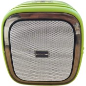 Resim Efe Kuluçka Makineleri Taşınabilir Ses Bombası Mikrofonlu 100 Watt 