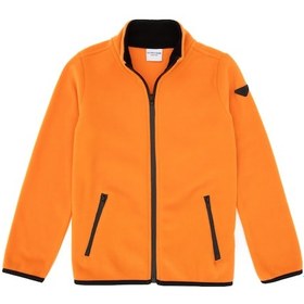 Resim U.S. Polo Assn. Erkek Çocuk Bakır Örme Hırka 50313853-VR182 