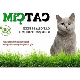 Resim Doğal Kedi Çimi Tohumu Karışımı, 250 Gram, İlaçsız Ve Sağlıklı 