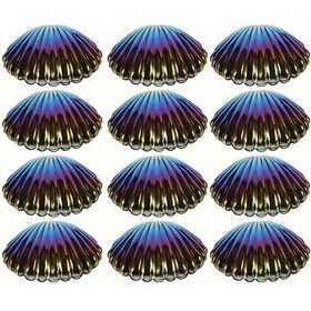 Resim Willowhaven Siyah 12'li Plastik Deniz Kabuğu Kutusu Takı Saklama Parti Süs Kutusu 