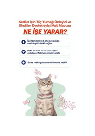 Resim Biofeline Kediler İçin Etkili Malt Macunu 100 G 