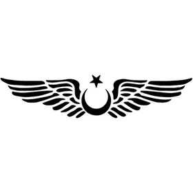 Resim Genel Markalar Kanatlı Ay Yıldız Sticker 20 X 4 Cm 