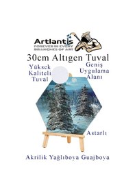 Resim Altıgen Tuval 30 Cm 3 Adet Arkadan Zımbalı Astarlı Resim Tuvali Akrilik Boya Yağlı Boya Altıgen Şekil Tuval Ressam Sanat 