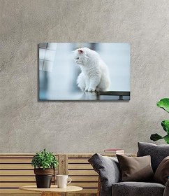Resim Beyaz Kedi Cam Tablo 