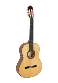 Resim Paco Castillo Flamenko Gitar Mod-214f 