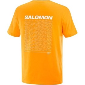 Resim Salomon Graphıc Perf Ss Tee M Zinnia// Koşu T-shırt Lc2219700 001 