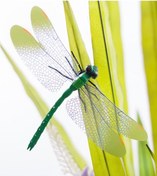 Resim Novahub Adet Buzdolabı Stickerı Pvc Yusufçuk Şekli Duvar Çıkartması Sticker Ev Oturma Odası Kreş Çitler Bahçe Çim Arka Bahçeler Kendin Yap Sanat Dekoru 