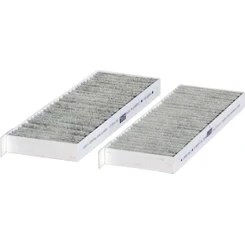 Resim Gold Filter Cıtroen C4 Spacetourer | 2018 > … 1.5 Bluehdi 130 Karbonlu Polen Filtresi 