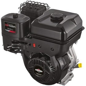 Resim Briggs&Stratton XR1450 10 HP Çapa Dal Öğütücü için Benzinli Motor 