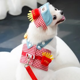 Resim 3'lü/2'li Evcil Köpek Göğüs Kayışlı Tasma Seti, Yavru ve Kedi Şapkası, Küçük Köpekler için Giysi, Sevimli Güneşlik Kap 