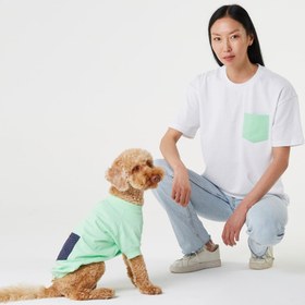Resim Mint Yeşili Köpek ve İnsan Tişört Kombini - XXL / M 