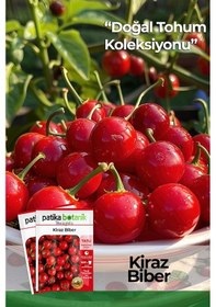 Resim Patika Botanik 200 Adet Kiraz Biber Tohumu Tatlı 