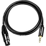 Resim Rogfer Jınghua 3.5mm Erkek Xlr Dişi Mikrofon Kablosu Bilgisayar Mikseri Ses Kablosu, Uzunluk: 10m 