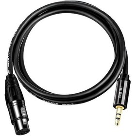 Resim Rogfer Jınghua 3.5mm Erkek Xlr Dişi Mikrofon Kablosu Bilgisayar Mikseri Ses Kablosu, Uzunluk: 10m 