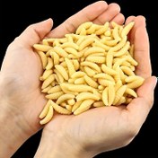 Resim Takami | 150/80/30 Adet Balıkçılık Yemleri, Yapay Yumuşak Solucanlar, Plastik Yemler, Taklit Yemler, Sahte Kurtçuklar ve Sazan ve Ot Sazanı İçin Yemler. 