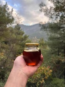 Resim Yabani Kekik Balı - 850 Gram 