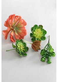 Resim Yapay Succulent Sukulent Set - 5 