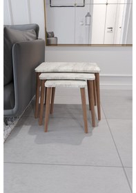 Resim Esma Orta Sehpa Ve Zigon Sehpa 4'Lü Ahşap Ayaklı - Kristal 