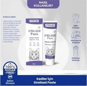 Resim Hype Store Foodline Sterilised Kısır Kediler Malt Macun 100 Gr, Kısır Kediler Için Tüy Yumağı Önleyici 