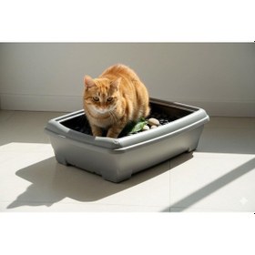 Resim Herniks Relax Açık Kedi Tuvaleti 49x38cm - Gri 