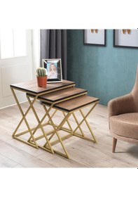 Resim Venedik Gold Metal Ayaklı,Ceviz Kaplama Mdf'Li Zigon Sehpa 