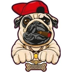 Resim Gogo 75x100mm Rap Köpek 