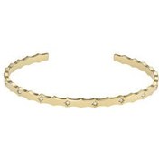 Resim Fossil JF04379-710 Kadın Bileklik 