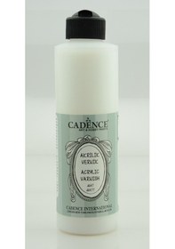 Resim Akrilik Mat Vernik 250Ml 