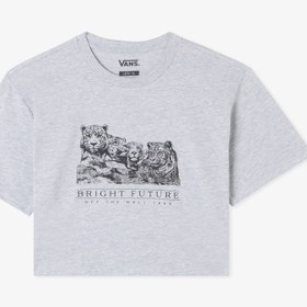 Resim Vans Bright Future Relaxed Crop Ss Çocuk Gri T-Shirt 