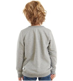 Resim Denokids Sevimli Arabalar Gri Erkek Çocuk Sweatshirt Gri 