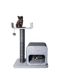 Resim Karlıe Kedi Tırmalama+ev Flavıe Gri 60x40x77cm 
