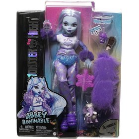 Resim Monster High Abbey Bominable Yeti HNF64 