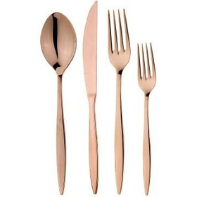 Resim Aryıldız Noble 24 Parça Çatal Kaşık Bıçak Takımı Parlak Bronz Pvd 