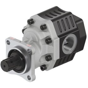 Resim 30 Serisi İSO Çift Yönlü Dişli Pompalar 