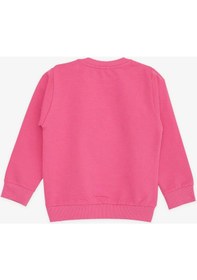 Resim Breeze Kız Bebek Sweatshirt Simli Çiçek Baskılı 9 Ay-3 Yaş, Pembe-pembe Pembe 