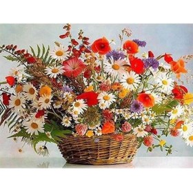 Resim wombhobby Çiçek Sepeti Sayılarla Boyama Seti 80x100 Cm Çerçevesiz RULO ( Kasnaksız ) 