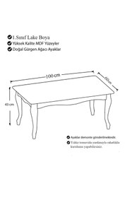 Resim Canisa Concept Sadem Serisi Krem Avangart Orta Sehpa / Mdf Ve Lake Boyalı 