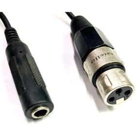 Resim YKA Xlr Dişi - 6.3mm Mono Dişi Çevirici Kablo 