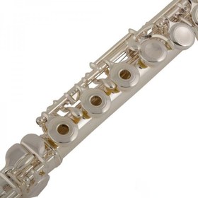 Resim JUPITER JFL-711RES Profesyonel Yan Flüt 