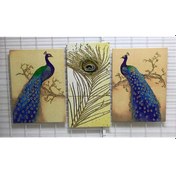 Resim Tavus Kuşu Ve Tüy Altın Simli Kanvas Tablo Seti 