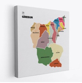Resim Es10 NW Özel Giresun İli ve İlçeler Haritası Dekoratif Kanvas Tablo 1346 (70 x 70) 