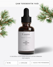 Resim caintela Çam Terebentin Yağı 50 ml - %100 Doğal Saf 