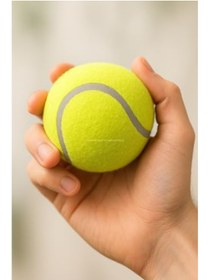 Resim markentegra 2'li Orta Boy Tenis Topu - 7.5 cm, Dayanıklı Oyun ve Eğitim 