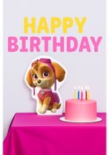 Resim Ayaklı Pano Paw Patrol-sky 32 24 Cm Doğum Günü Masa Dekoru- Oda Süsü Çok Renkli 