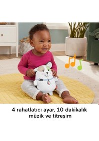 Resim Fisher-price Sevimli Köpekçik Uyku Arkadaşı 