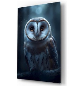 Resim Baykuş Hayvan Temalı Dekoratif Cam Tablo, Duvar Dekoru H0008 